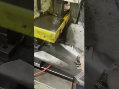 Διοδηγούμενη λωρίδα